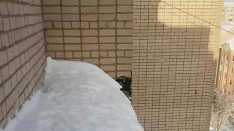 наши работы